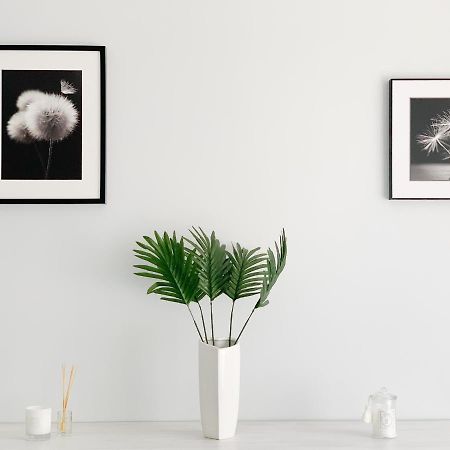 Apartament Chyba Snisz Łańcut 外观 照片