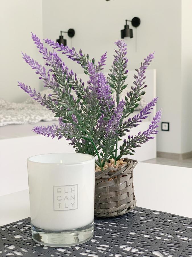 Apartament Chyba Snisz Łańcut 外观 照片